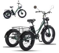 GplHAIN 24 Inch Fat Wheel Electric Tricycle Cargo Power with Cargo Basket, Assisted Pedal Fat Tire for Adults, 200kg Load Capacitay, Elderly Exercise Shopping Scooter Green
