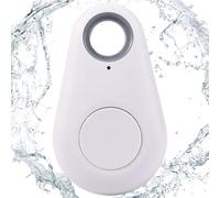 GPS Locator, Pet GPS Tracker - Wireless Locator Anti-lost Smart Key Finder for - Item Position Tracker with Alarm Sensor for Wallets, Luggage, Moon