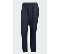 GQ2910 adidas Terrex Multi Primegreen Hiking Winter Insulated Men's Pants