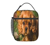 GQWJKSZ Cavalier King Charles Spaniel Brown Curly Dogs Lunch Bag, Durable Insulated Lunch Box Reusable Adults Tote Bag Reusable Cooler Bag