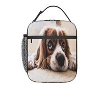 GQWJKSZ Cavalier King Charles Spaniel Cute Dogs Pets Lunch Bag, Durable Insulated Lunch Box Reusable Adults Tote Bag Reusable Cooler Bag