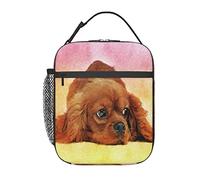 GQWJKSZ Cavalier King Charles Spaniel Lunch Bag, Durable Insulated Lunch Box Reusable Adults Tote Bag Reusable Cooler Bag