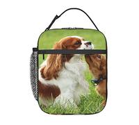 GQWJKSZ Cavalier King Charles Spaniel Lunch Bag, Durable Insulated Lunch Box Reusable Adults Tote Bag Reusable Cooler Bag