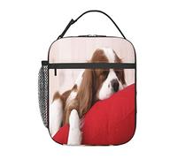 GQWJKSZ Cavalier King Charles Spaniel Lunch Bag, Durable Insulated Lunch Box Reusable Adults Tote Bag Reusable Cooler Bag