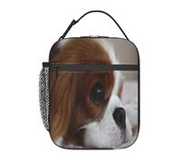 GQWJKSZ Cavalier King Charles Spaniel Pets Puppy Dogs Lunch Bag, Durable Insulated Lunch Box Reusable Adults Tote Bag Reusable Cooler Bag