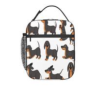 GQWJKSZ Dachshund Cute Dogs Characters Various Poses Lunch Bag, Durable Insulated Lunch Box Reusable Adults Tote Bag Reusable Cooler Bag