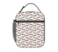 GQWJKSZ Dachshund Sausage Dog Lunch Bag, Durable Insulated Lunch Box Reusable Adults Tote Bag Reusable Cooler Bag