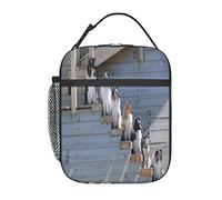 GQWJKSZ Dogs Border Collie Shetland Sheepdogs Alaskan Lunch Bag, Durable Insulated Lunch Box Reusable Adults Tote Bag Reusable Cooler Bag
