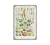 GQWJKSZ Vegetables Tin Signs 1948 Vintage Kitchen Decor Vegetable Poster Antique Botanical Print Botanical Art French Country Decor Metal Sign Wall Art Kitchen Decor, 20X30 cm