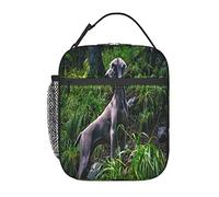 GQWJKSZ Weimaraner Dogs Pets Gray Dogs Dogs Lunch Bag, Durable Insulated Lunch Box Reusable Adults Tote Bag Reusable Cooler Bag