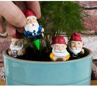 GR Gnomes Plant Pot Sticks Garden Indoor Gift Birthday Secret Santa GR450112