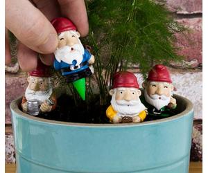 GR Gnomes Plant Pot Sticks Garden Indoor Gift Birthday Secret Santa GR450112