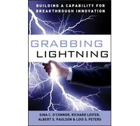 Grabbing Lightning : Building a Capability for Breakthrough Innovation