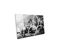 Graceful Beauty Flower Rose Female Canvas Wall Art Picture Print CanvasGeeks Grey W24 inch x H16 inch x D20mm