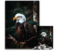 Graceful Eagle1000 Piece Jigsaw Puzzle Puzzles for Adults for Teenagers Teens Ideal Birthday 1000 PCS(75x50cm)