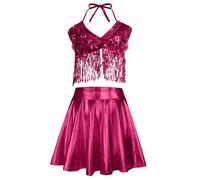Graceful Exquisite Carnival Lady Shimmering Fringe Sequin Top High Waisted Full Skirted Performance, Women Cosplay Ensemble Party Wear Costume #D