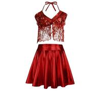 Graceful Exquisite Carnival Lady Shimmering Fringe Sequin Top High Waisted Full Skirted Performance, Women Cosplay Ensemble Party Wear Costume #D
