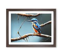 Graceful Kingfisher Bird Framed Print | A4 Walnut Framed Wall Art | Ready to Hang | Modern Nature Picture | Living Room Bedroom Lounge Office