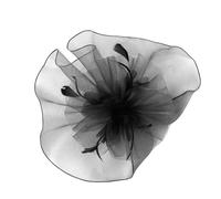 Graceful Sophisticated Veil with Flower Pattern Mesmerizing Full Meshes Veil