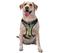 Graceful Woman Back Garden Path No Pull Dog Harness Adjustable Reflective Oxford Easy Control Medium Large Dog Harness