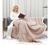Gracelife Sherpa Throw Blanket Fleece Blanket Double, Soft Fluffy Fuzzy Warm Blanket Throws for Bed and Couch, Large Thick Blanket for All Season Use (Beige-1, 60"*80", Solid)