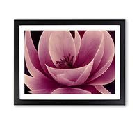 Gracious Carnation Flower Abstract Framed Print | A2 Black Framed Wall Art | Ready to Hang | Abstract Floral Picture | Living Room Bedroom Lounge Office