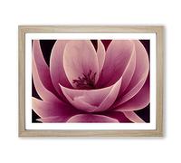 Gracious Carnation Flower Abstract Framed Print | A2 Oak Framed Wall Art | Ready to Hang | Abstract Floral Picture | Living Room Bedroom Lounge Office