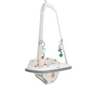 Graco Bumper Jumper - Up & Away