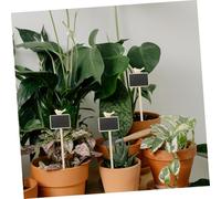 GRADENEVE 5PCS Mini Wooden Chalkboard Plant Labels Garden Message Board Stakes for Plant Identification Small Lightweight Blackboard Signs for Pots and Soil