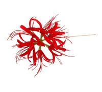 GRADENEVE Handcrafted Red Lily Flower Hair Stick Vintage Hair Chopsticks for Women Intricate Chinese Style Hairpin for Buns Braids -ready