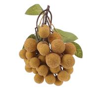 GRADENEVE Lifelike Simulation Longan Model Fake Plastic Fruit Prop for House Decoration and Teaching Tools Colour Retention and Natural Summer Style