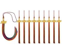 GRADFTY 10 Pieces Graduation Tassels 2025 Bulk,Rainbow Tassels 2025