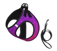 Gradient Sequin Sparkle Print Pet Leash Vest Soft Adjustable Step in Puppy Vest Outdoor Walking with Leash