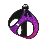 Gradient Sequin Sparkle Print Pet Leash Vest Soft Adjustable Step in Puppy Vest Outdoor Walking with Leash
