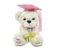 Graduation Bear 2026 Plush Keepsake Gift for Students Kids Teens | Memory Piece for Kindergarten, Preschool, Elementary, Secondary School, College | Plush Graduation