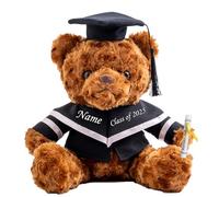 Graduation Bear Class of 2025 Personalised Graduation Gifts with Custom Text, Name or Date, Teddy Bear Stuffed Animal for Her 2025 High School College Kindergarten Graduation Gifts (8IN-Text)