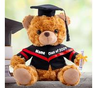 Graduation Bear Class of 2025 Personalised Graduation Gifts with Text, Name or Date, Brown Teddy Bear Stuffed Animal for Her 2025 High School College Kindergarten Graduation Gifts (10IN-Text)