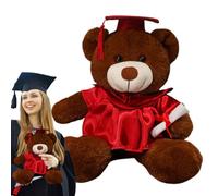 Graduation Bear Plush, Kids Graduation Bear, Graduation Bear 2024, Stuffed Bear with Doctor Robe and Hat, Graduation Plush, Celebrate Kindergarten Milestones