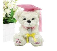 Graduation Bear Plush Toy - Cool Gift for Graduates - Promotion 2026 - For Boys Girls Teens Kindergarten Party Primary College High School