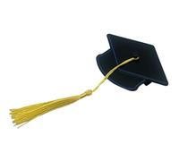 Graduation Cap Tassel Hair Clip - Cute Mini Stable Tasseled Hairpin - Graduation Party Accessories,for Women Grad Ceremony Bachelor's Doctor Beach Vacation Party Daily Use