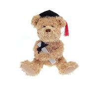 Graduation Design Teddy Bear 30cm