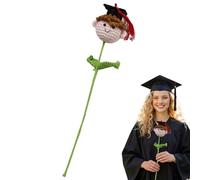 Graduation gift for her him emotional support gift Handmade Crochet Knitted Doll Nursery, High School, University, Masters, or PHD Graduation Gifts (B)