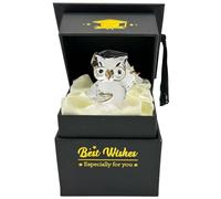 Graduation Gift for Her Him Keepsakes Graduate High School College University - PHD Masters Degree, Congratulation Ornaments Ideas Friends Daughter Son (Black Owl Box)
