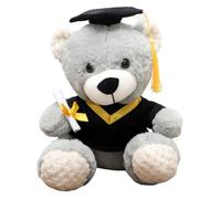 Graduation Gifts For Her, 10” / 25 cm Graduation Bear, Inspirational Keepsake Memory Gift For Ceremony & Photo Props