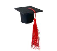 Graduation Hats, Graduation Hat Clip, PhD Hat Headband - Graduation Party Photography Decoration Supplies, 10 Inserts for Graduation