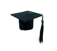 Graduation Mini Doctoral Cap Hair Clip，This Delicate Hair Clip for High School, College, or University Graduates，Perfect Academic Celebration Accessory for Commencement Ceremonies (Green, One size)