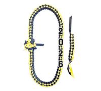 Graduation Ribbon Lei - 39 Inch Polyester | Decorative Ceremony Necklace - Class of 2026 rope lei for students son daughter nephew niece classmates family friends stylish accessory
