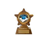 Graduation Trophy Award Premier Star Antique Gold 120mm Heavy Resin School Achievement Free Engraving -troshow1-B