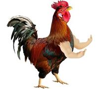 Grafanty Chicken Arms for Hens Chicken Toys Include Strong Muscle Thumb up Arms and T-Rex Chicken Arms to Put on Chickens Funny Halloween Costume Decor for Dressing Up Party Photoshoots Pranks