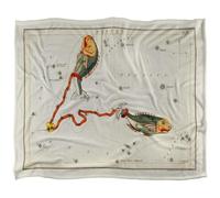 Graffitee Studios Vintage Pisces Supersoft Blanket Multicoloured (One Size)